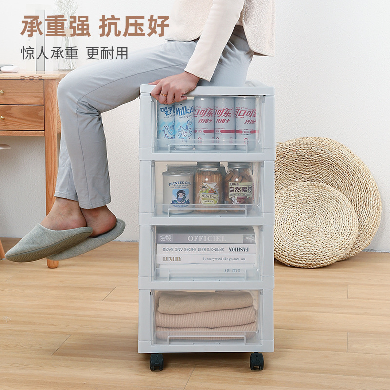 Moderno Scaffale Trasparente p - Sustainable Living Officer recensione e prezzo
